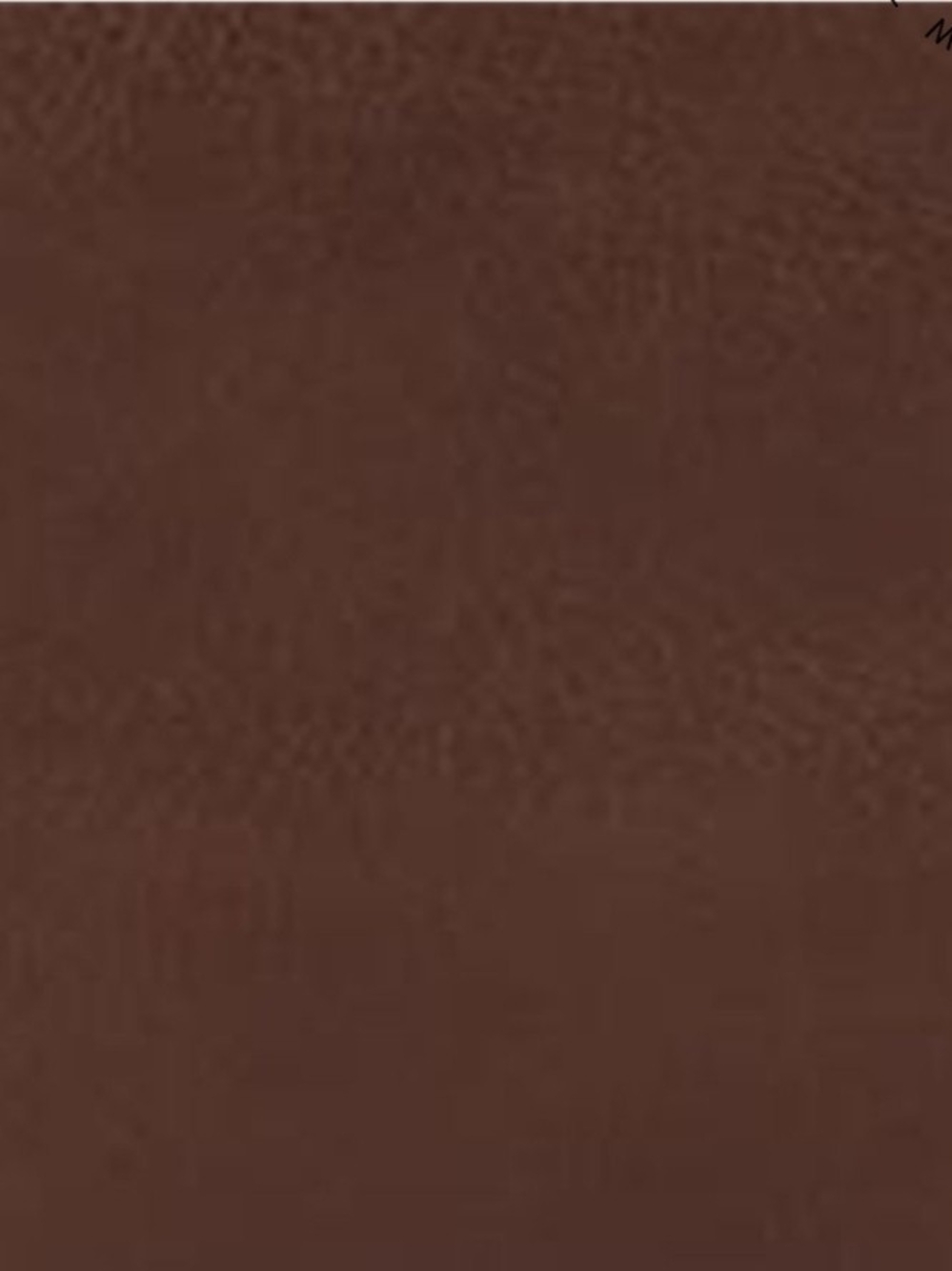 The Sak Los Feliz Large Leather Tote Whiskey Leather - Picture 6 of 8